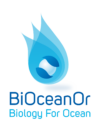 BIOCEANOR