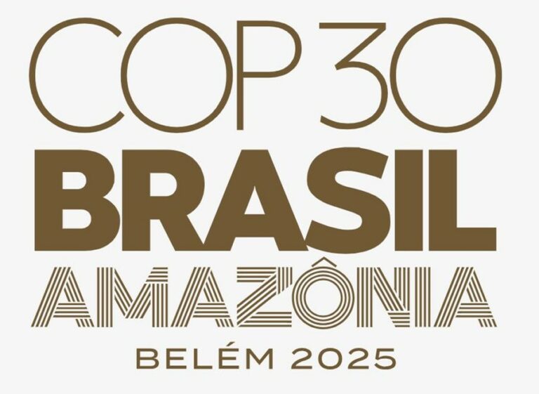 Digital Action at COP30: Stay Informed and Get Involved!