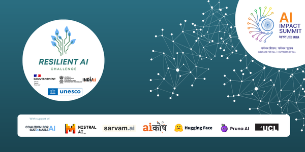 Resilient AI Challenge