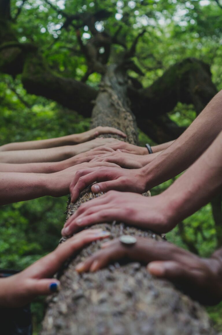 Green AI Initiatives