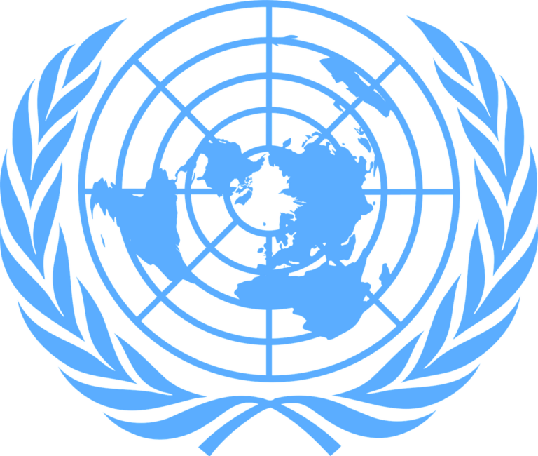 7. International Organizations & AI